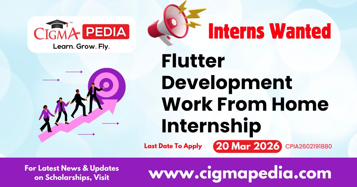Flutter Development Work From Home Internship