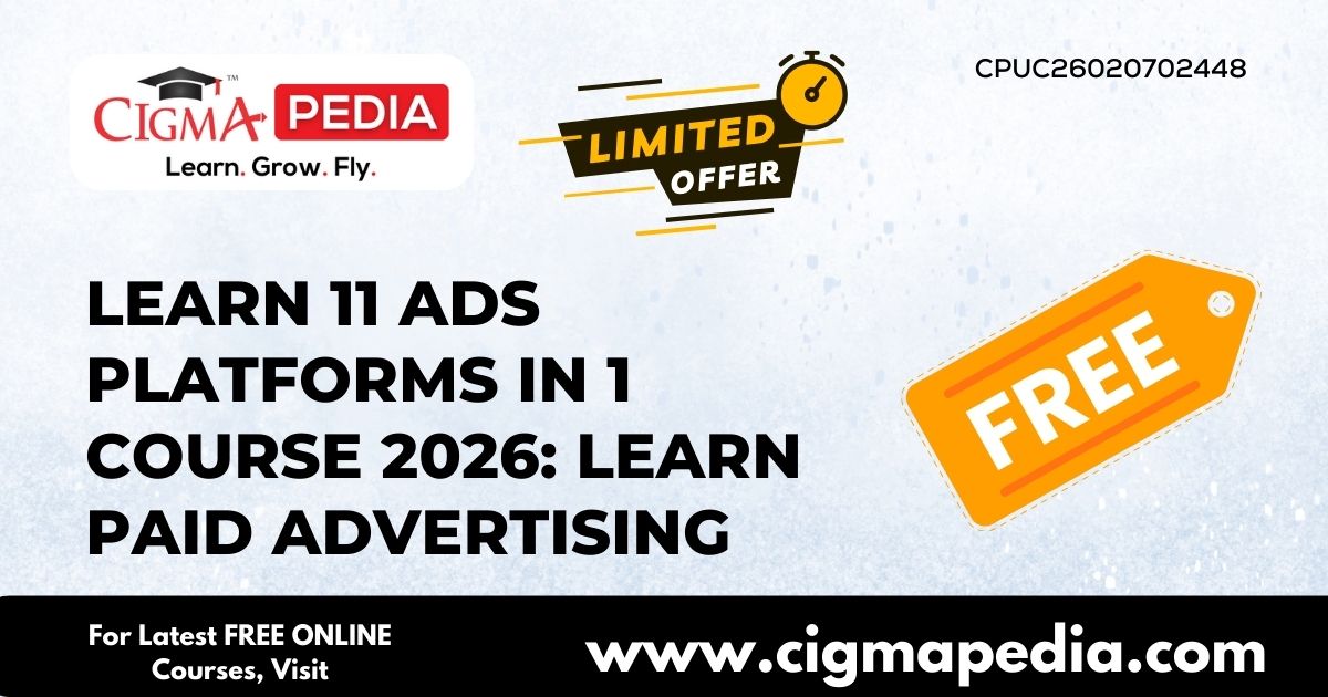 Learn 11 Ads Platforms in 1 Course