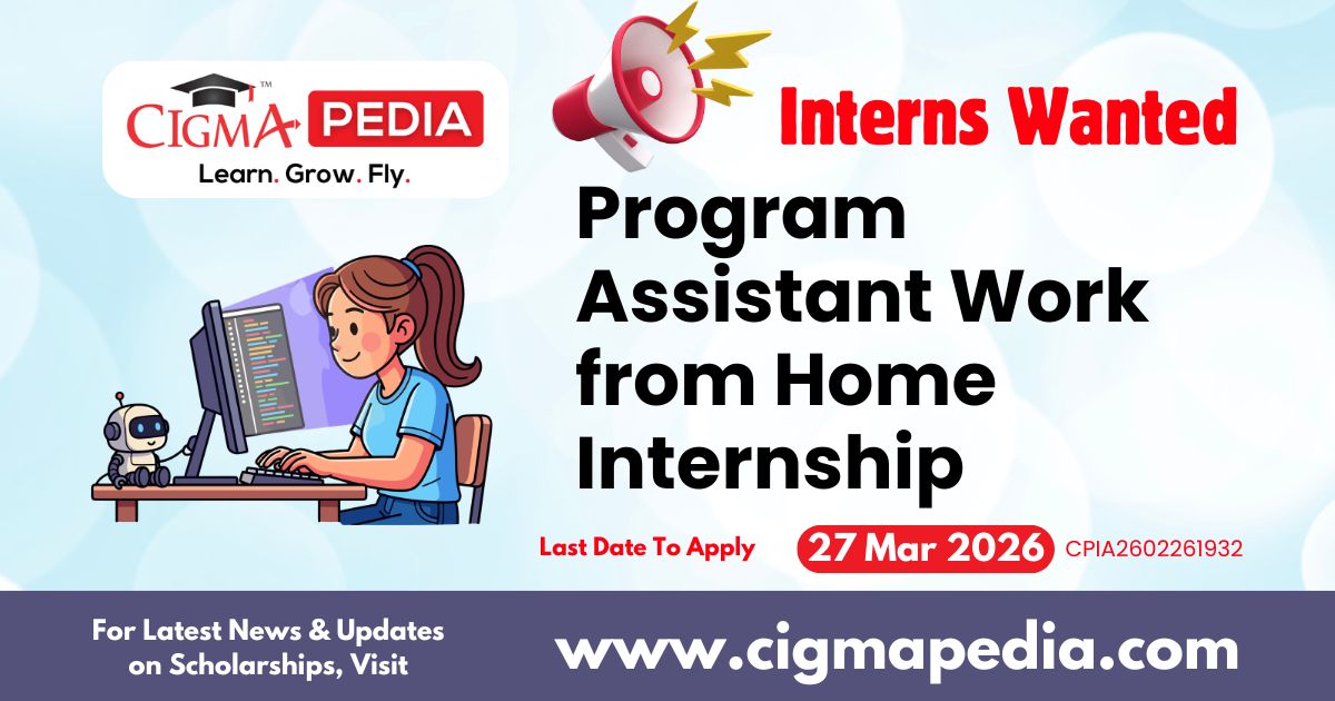 Program Assistant Work From Home Internship