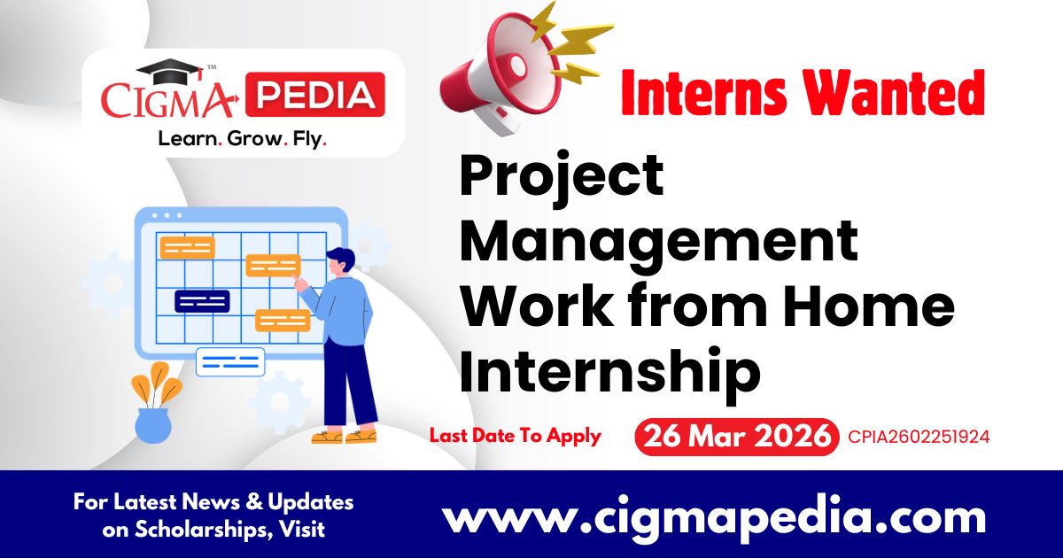 Project Management Work from Home Internship