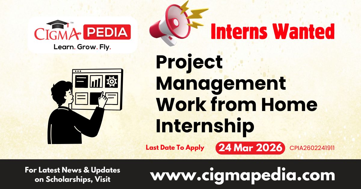 Project Management Work from Home Internship
