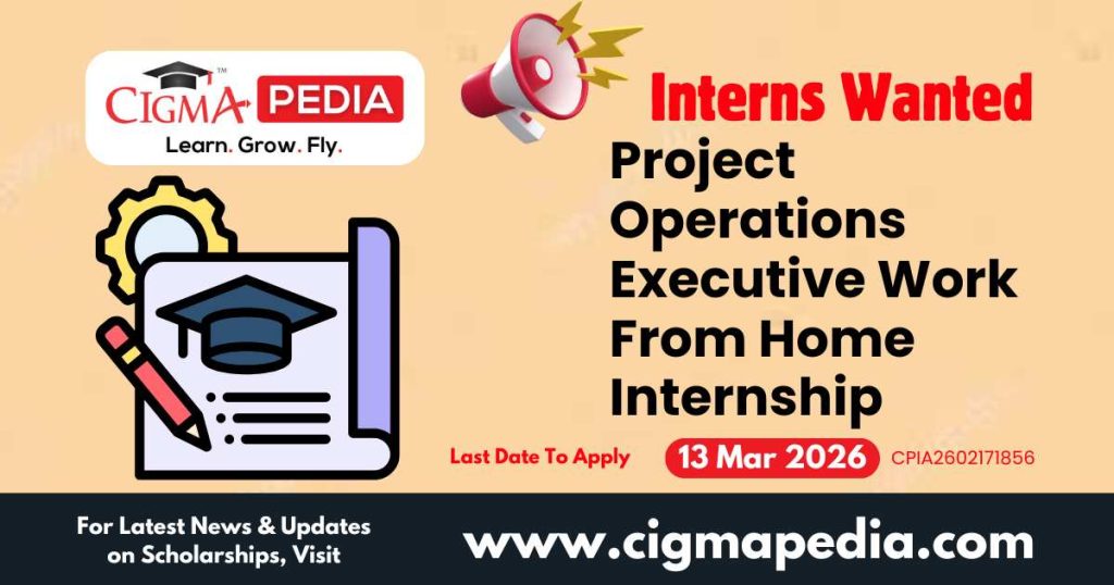 Project Operations Executive Work From Home Internship