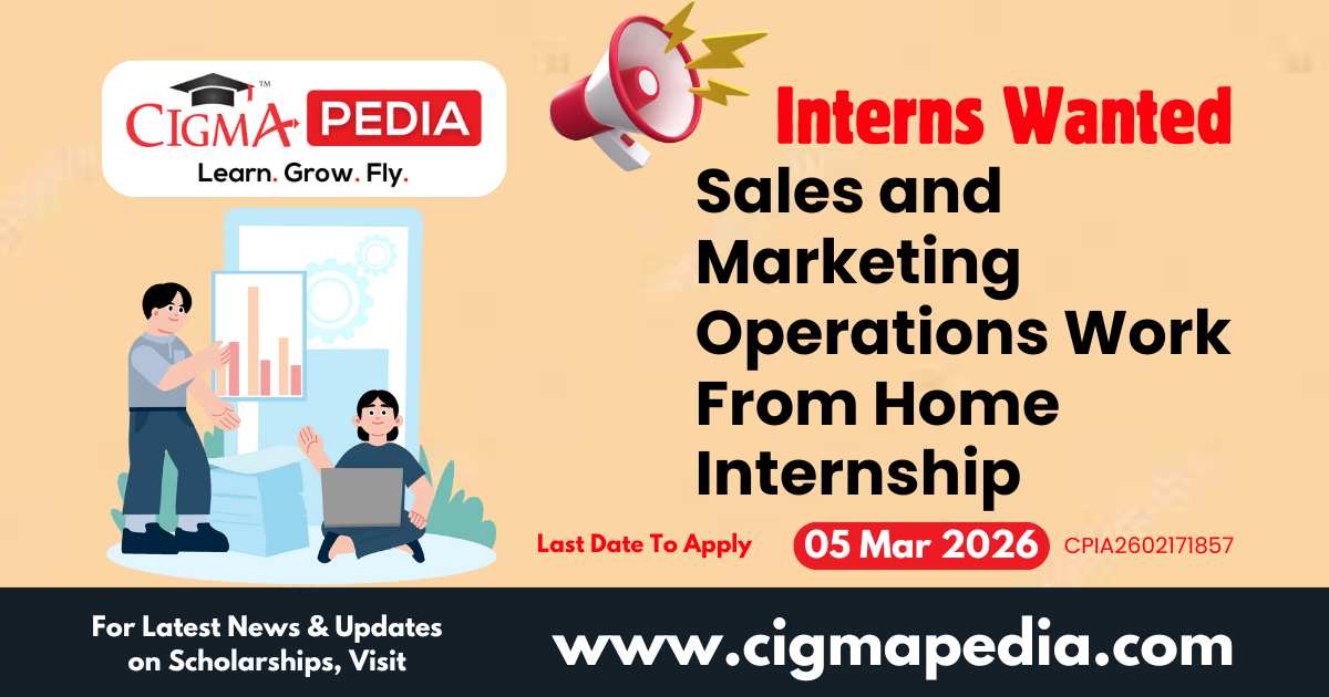 Sales and Marketing Operations Work From Home Internship