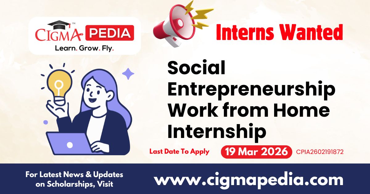 Social Entrepreneurship Work from Home Internship