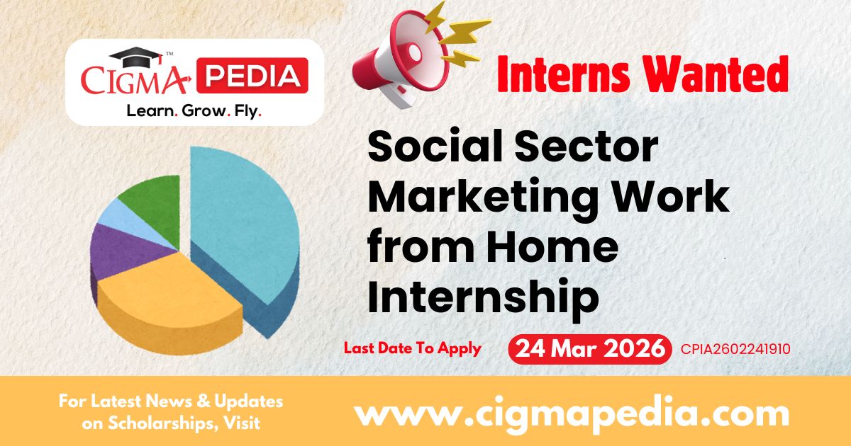 Social Sector Marketing Work from Home Internship