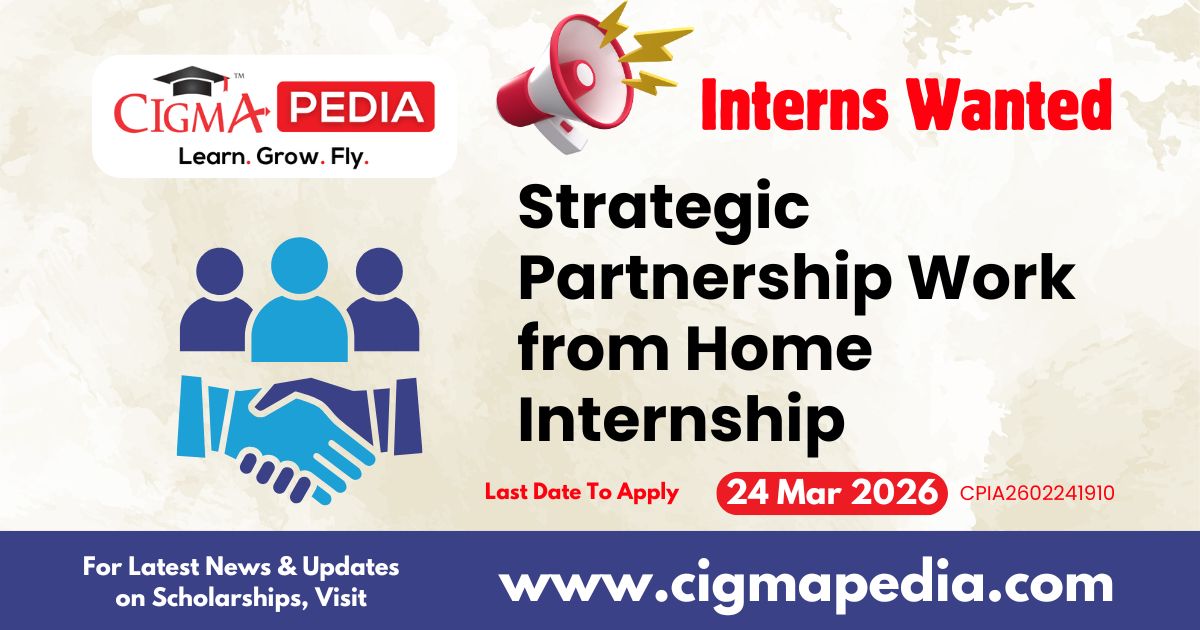 Strategic Partnership Work from Home Internship