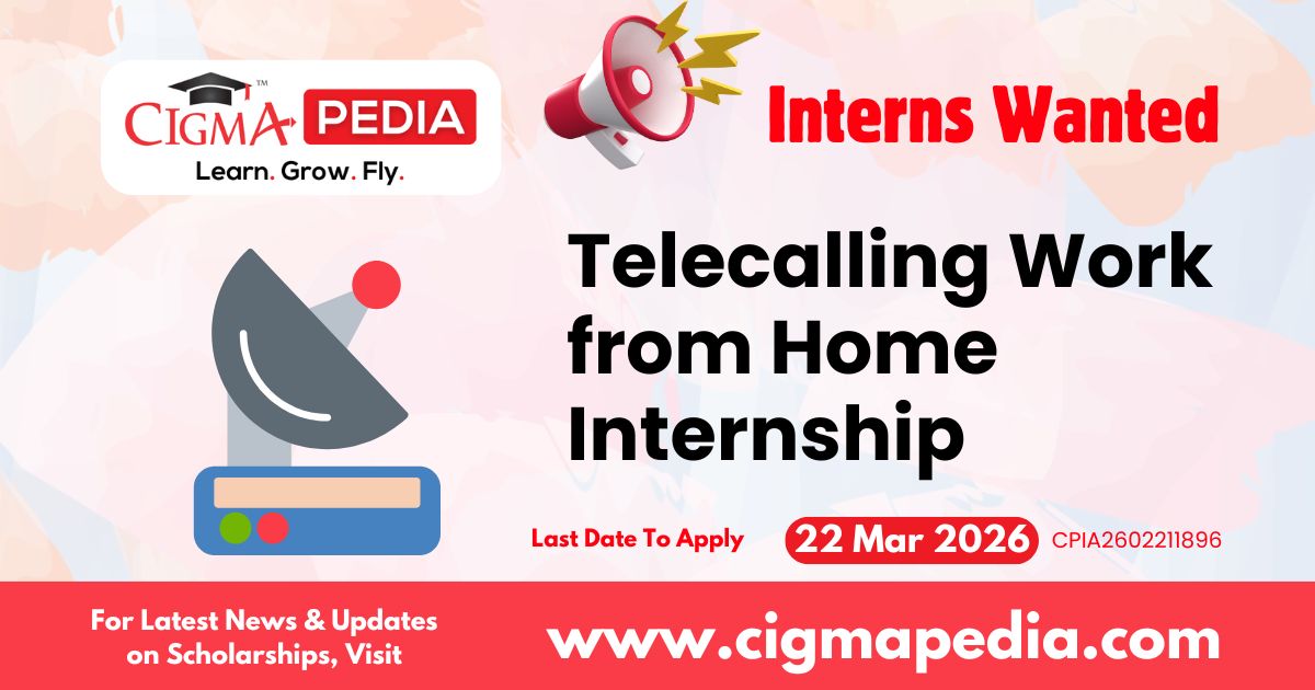 Telecalling Work from Home Internship