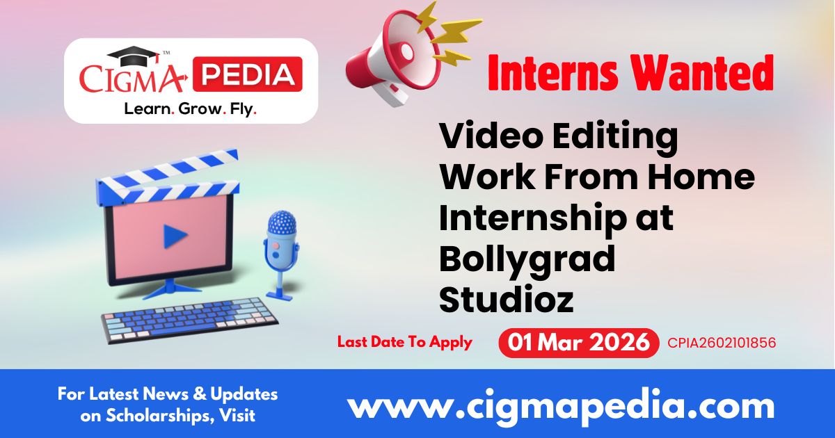 Video Editing Work From Home Internship