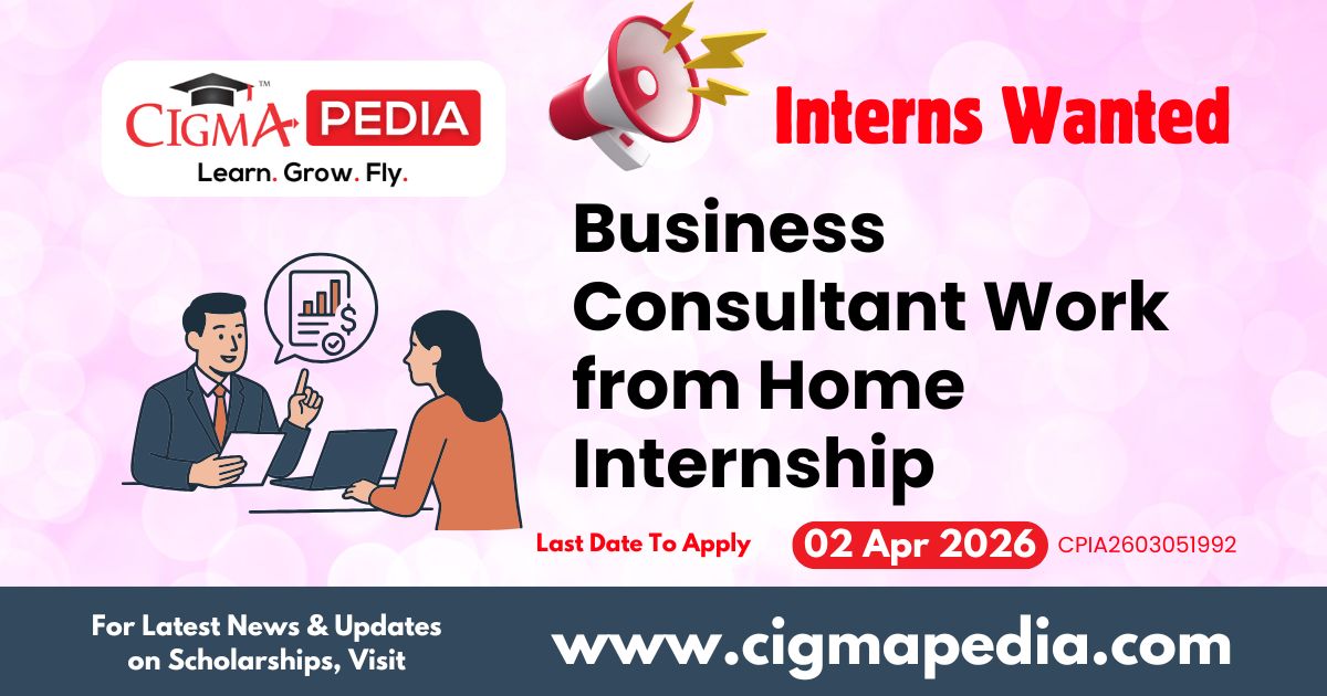 Business Consultant Work From Home Internship