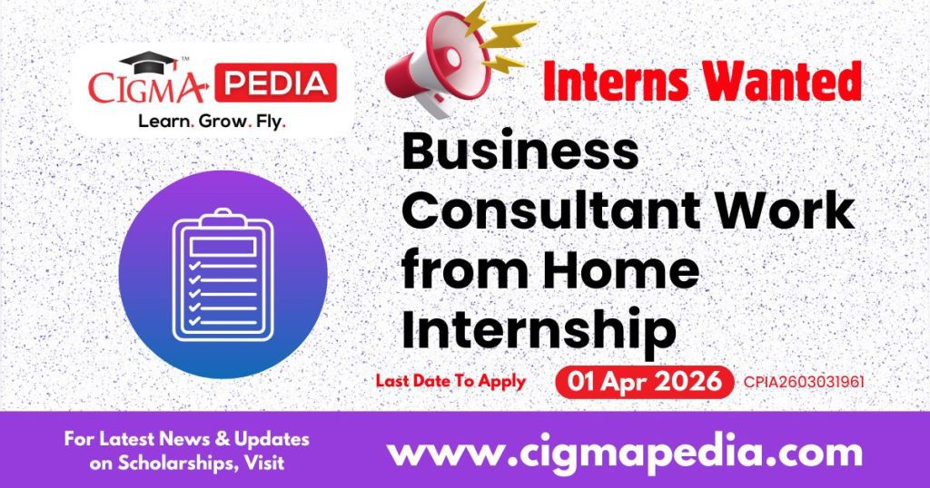 Business Consultant Work From Home Internship