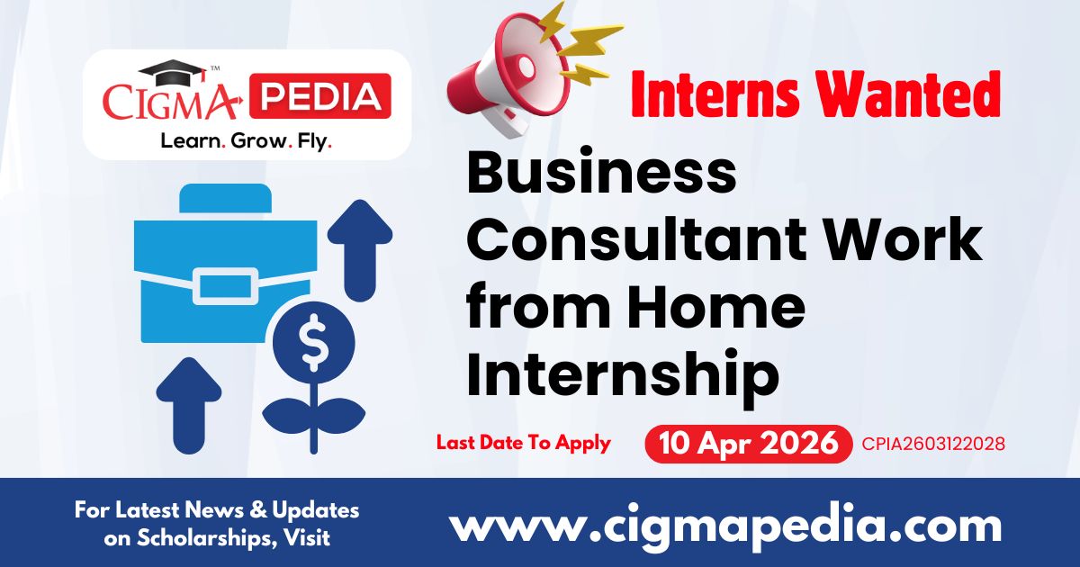 Business Consultant Work From Home Internship
