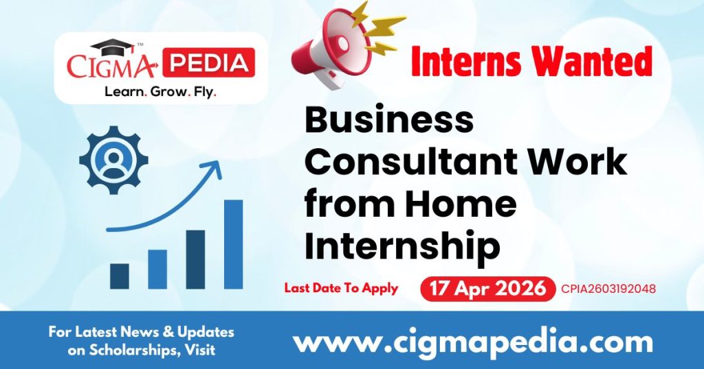 Business Consultant Work From Home Internship