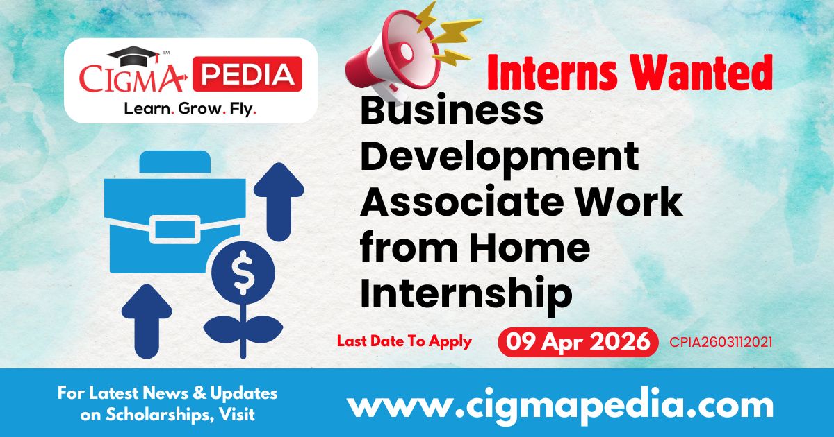 Business Development Associate Work From Home Internship