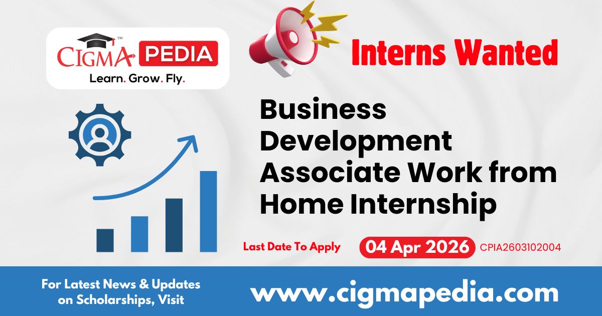 Business Development Associate Work From Home Internship