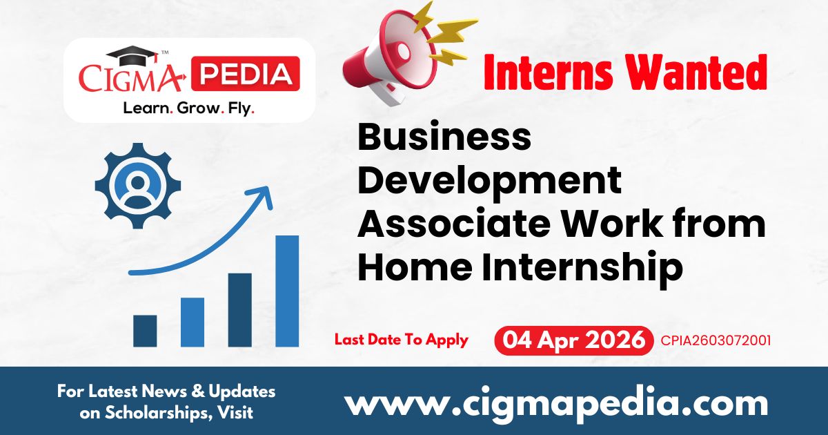Business Development Associate Work from Home Internship 