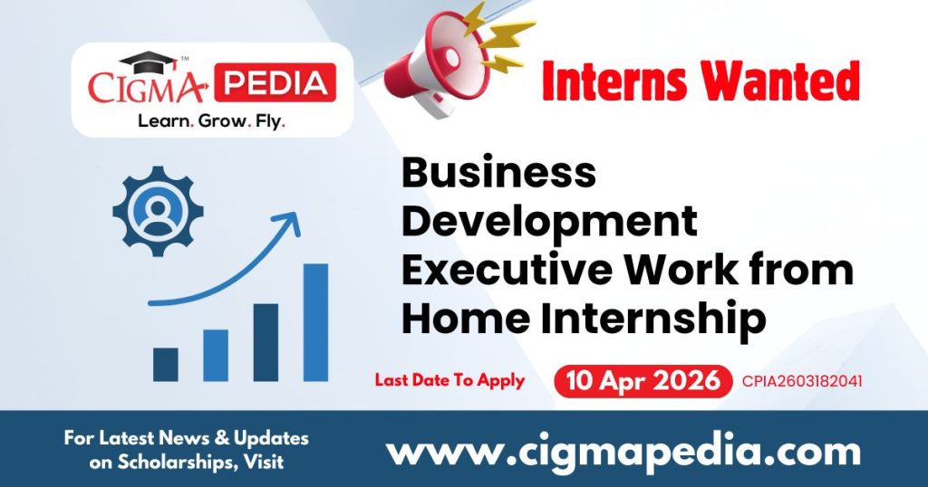 Business Development Executive Work From Home Part Time Internship