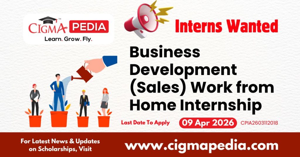 Business Development (Sales) Work from Home Internship