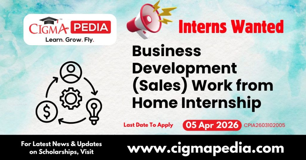 Business Development (Sales) Work from Home Internship at NayePankh Foundation