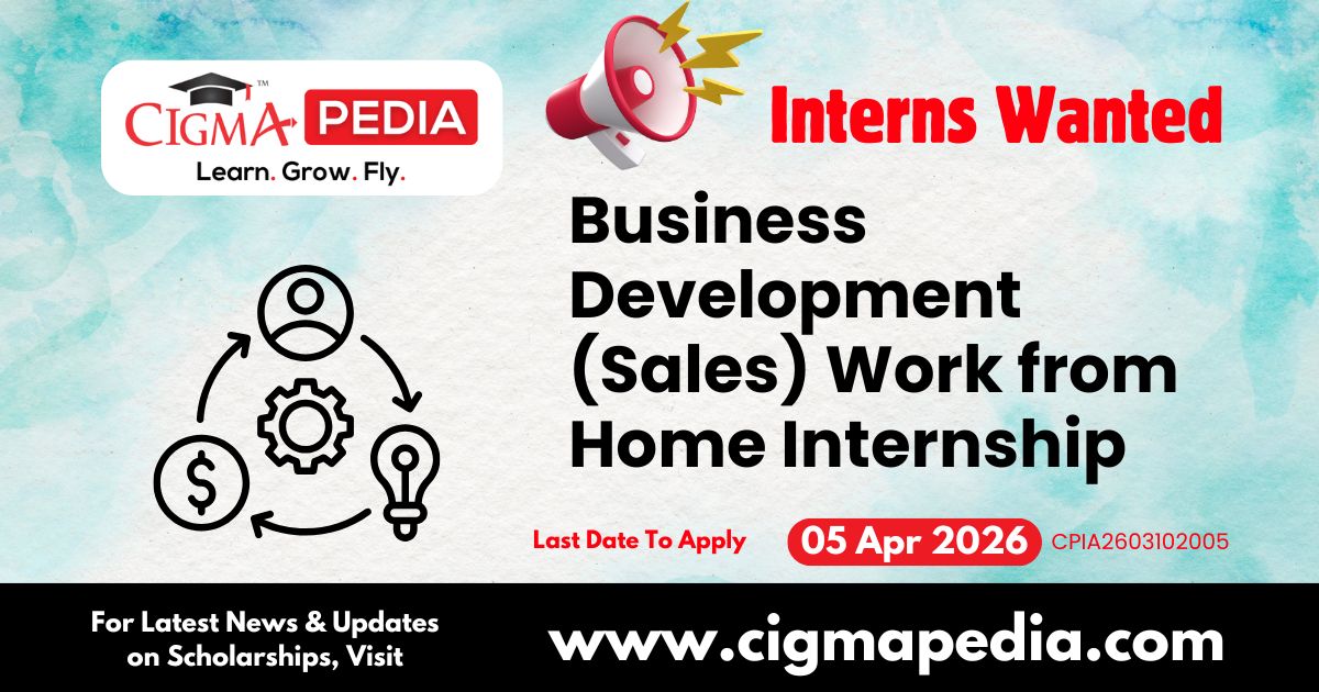 Business Development (Sales) Work from Home Internship at NayePankh Foundation