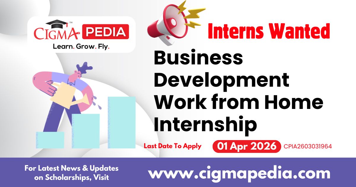 Business Development Work From Home Internship