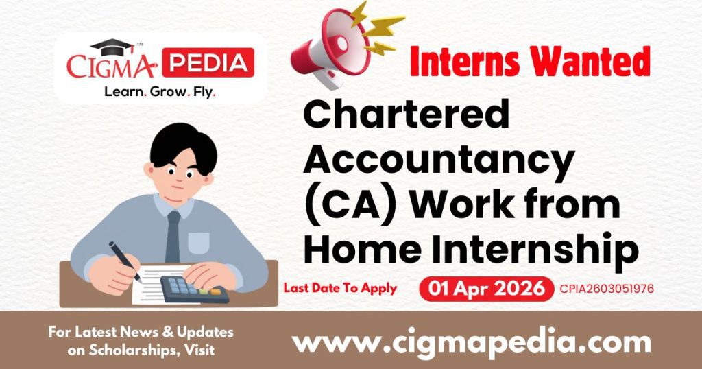 Chartered Accountancy Work from Home Internship