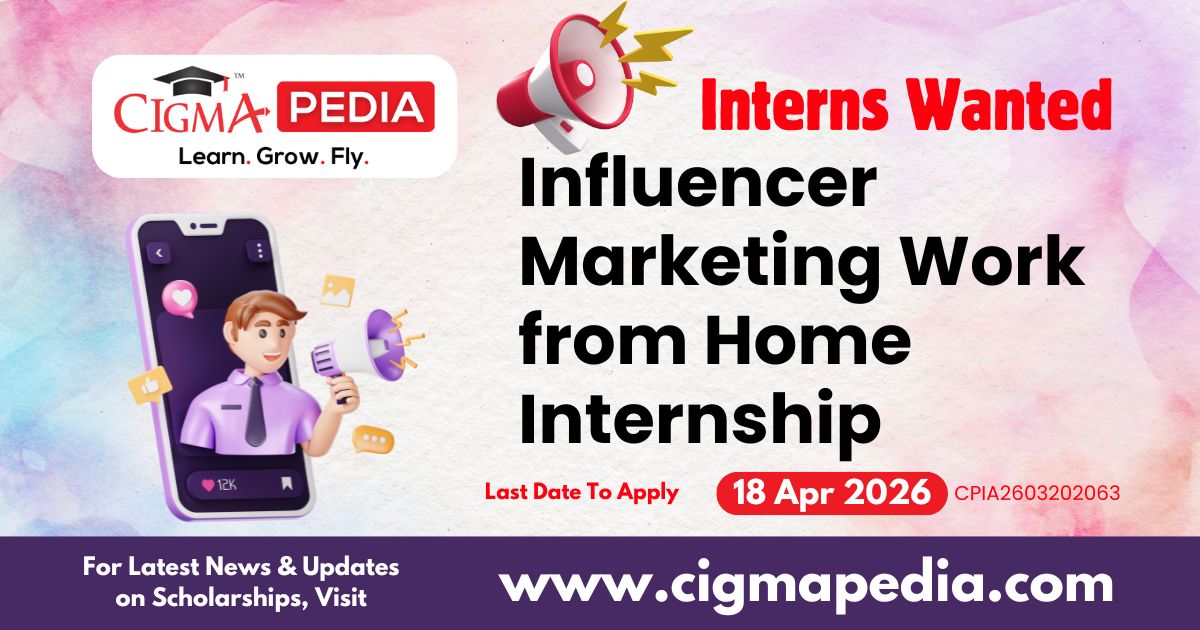 Influencer Marketing Work from Home Internship