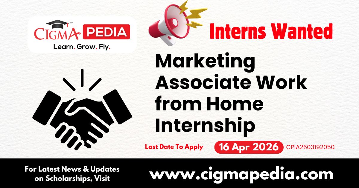 Marketing Associate Work from Home Internship