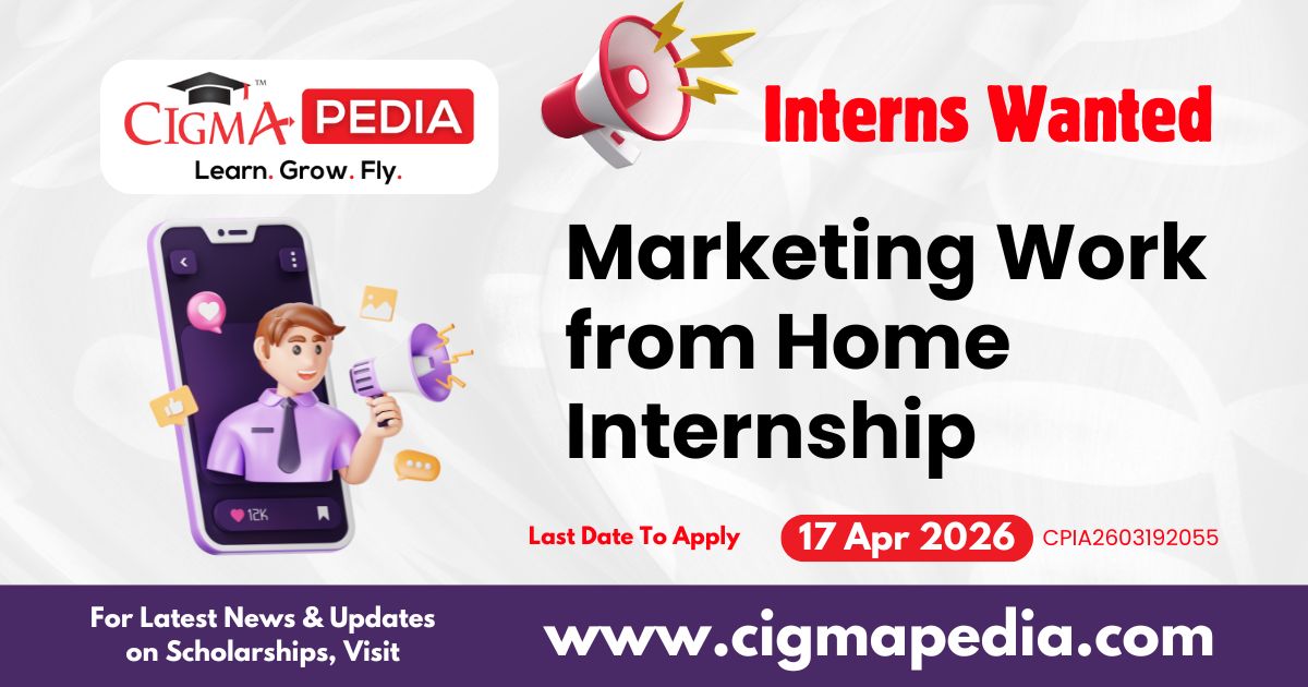 Marketing Work from Home Internship