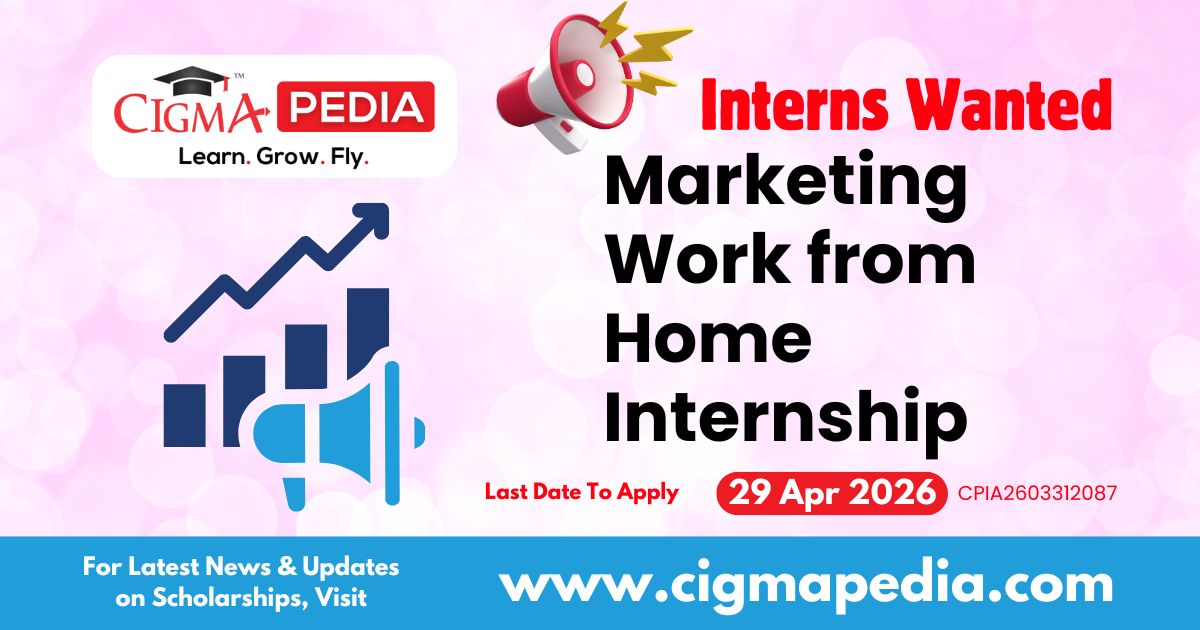 Marketing Work from Home Internship