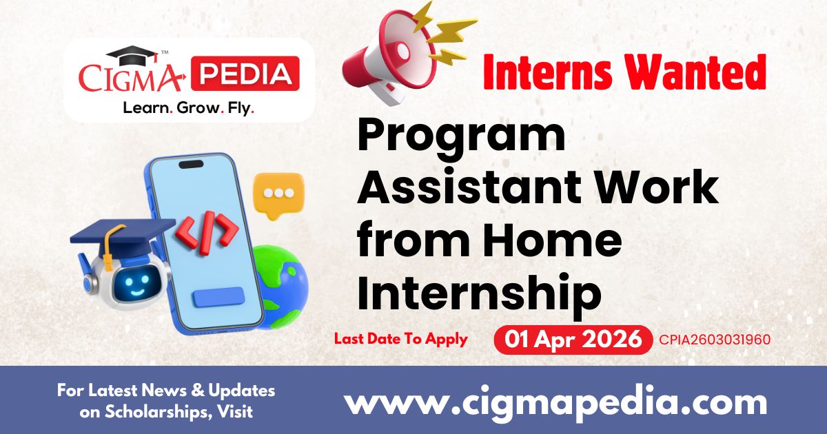 Program Assistant Work From Home Internship