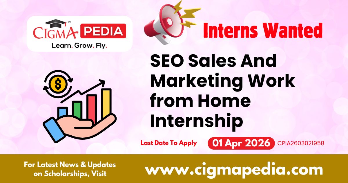 SEO Sales And Marketing Work from Home Internship