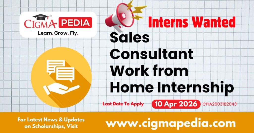 Sales Consultant Work from Home Internship