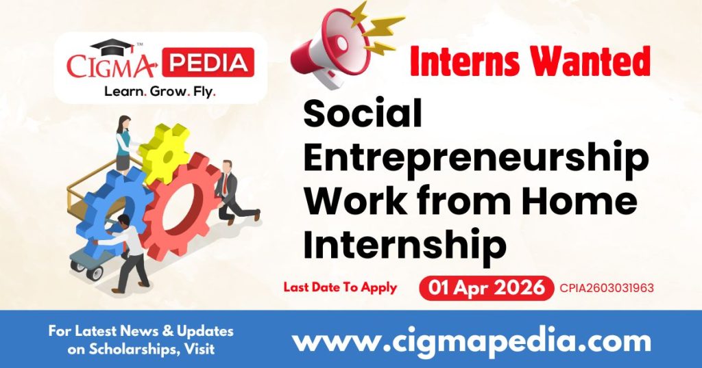 Social Entrepreneurship Work from Home Internship
