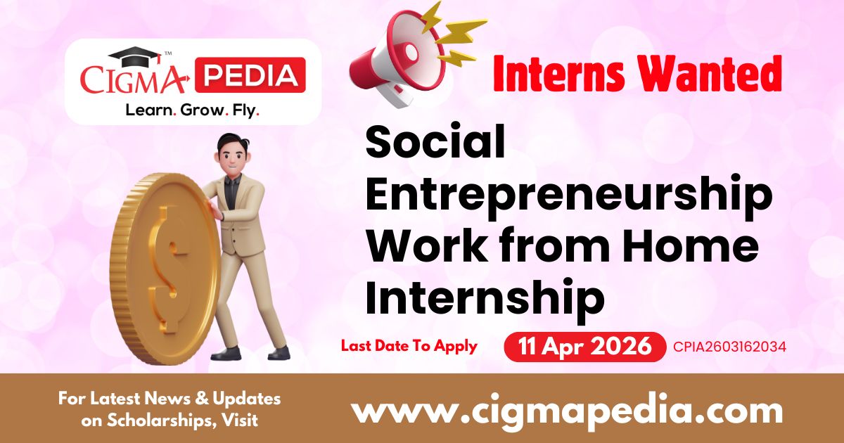 Social Entrepreneurship Work from Home Internship
