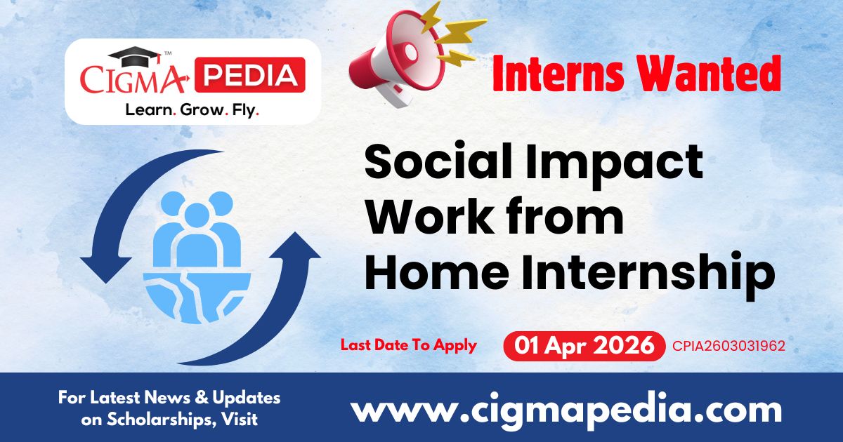 Social Impact Work from Home Internship
