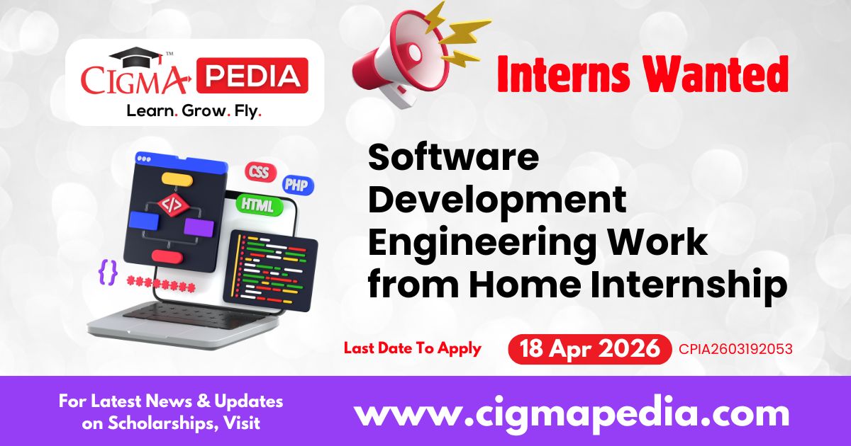 Software Development Engineering Work from Home Internship