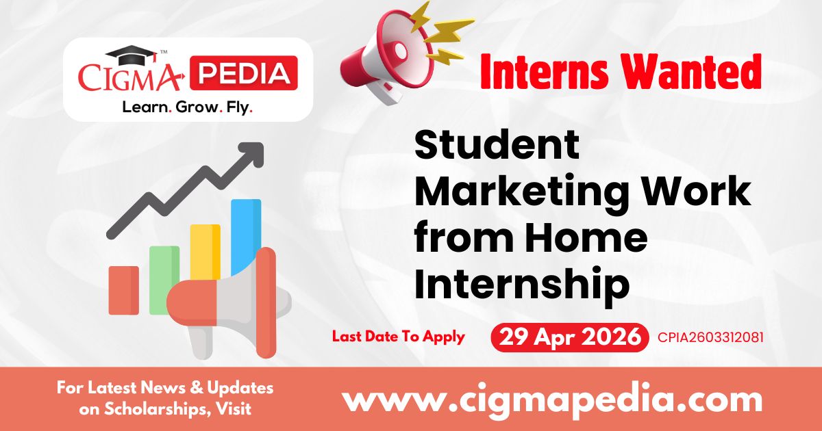 Student Marketing Work from Home Internship