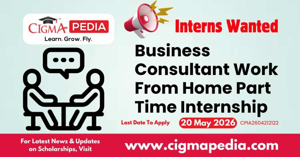 Business Consultant Work From Home Part Time Internship