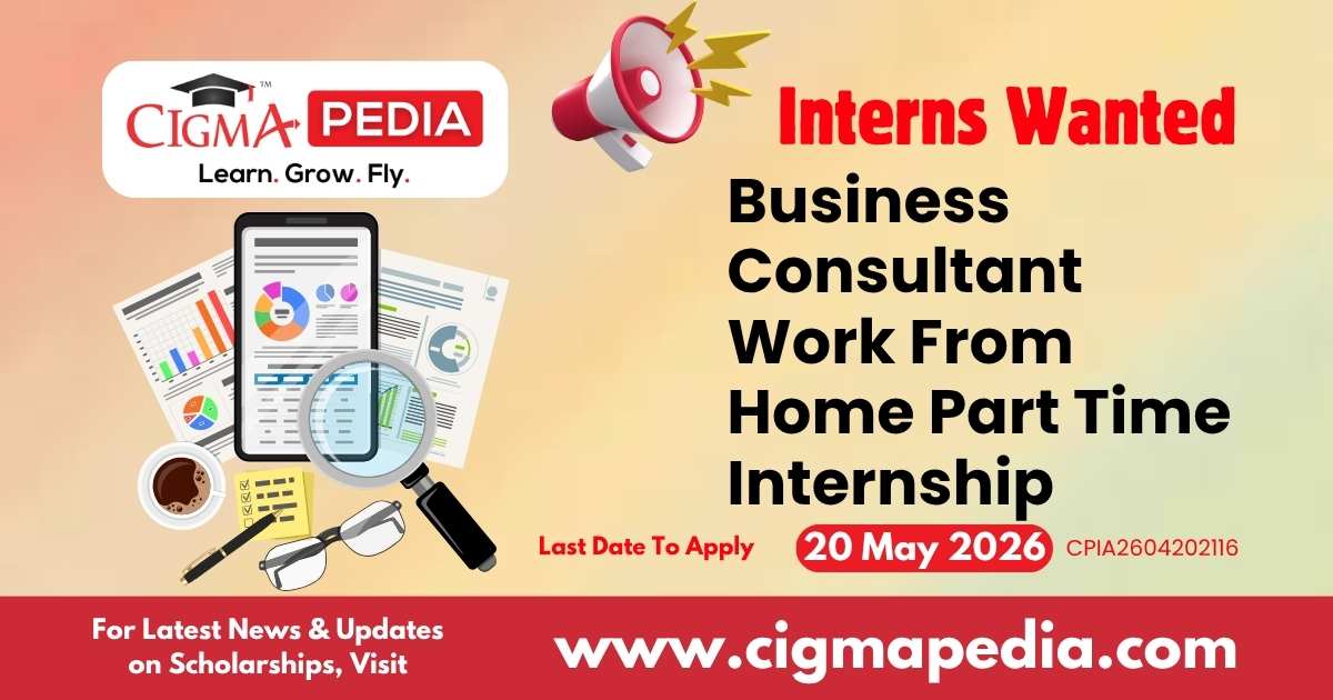 Business Consultant Work From Home Part Time Internship