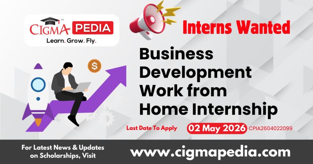 Business Development Work from Home Internship