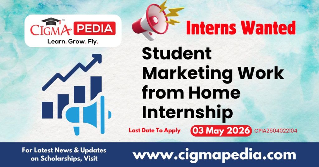 Student Marketing Work from Home Internship