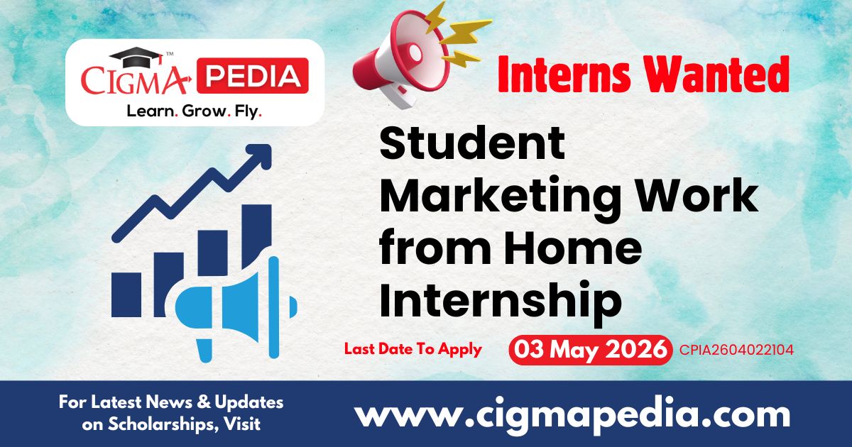 Student Marketing Work from Home Internship