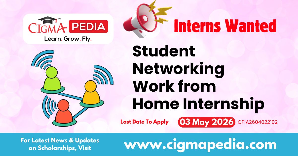 Student Networking Work from Home Internship
