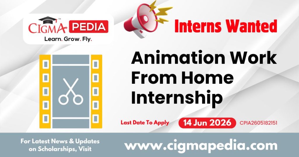 Animation Work From Home Internship