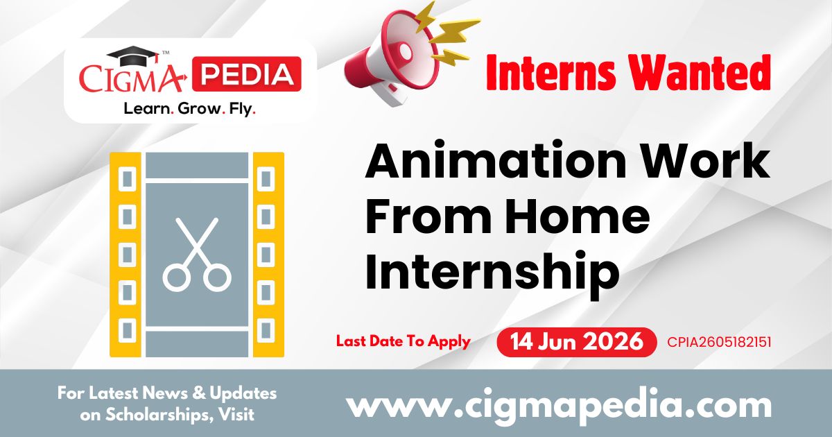 Animation Work From Home Internship