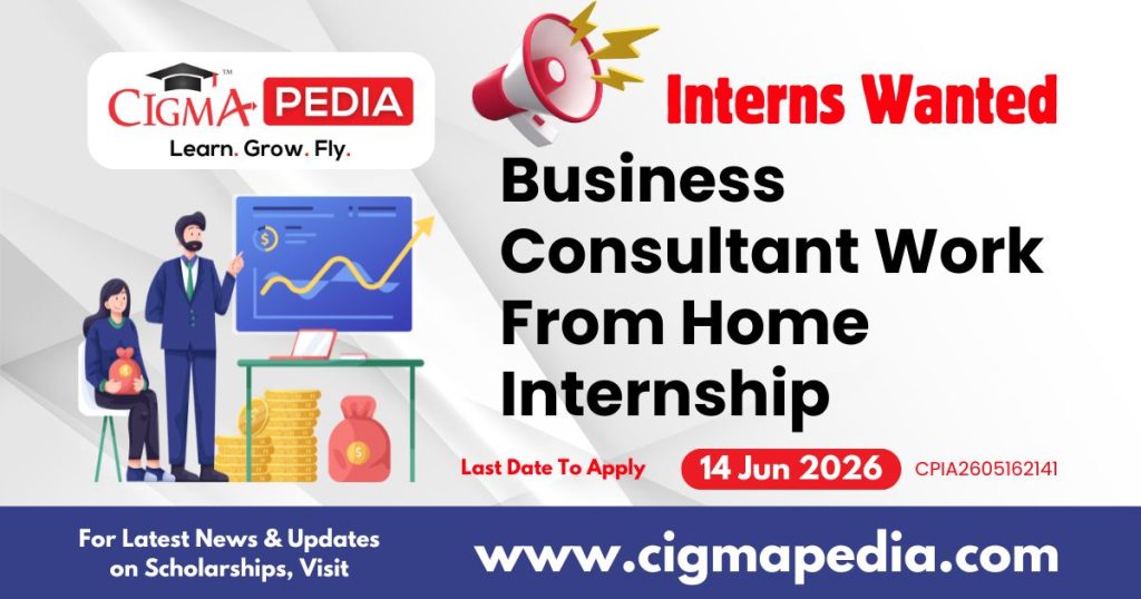 Business Consultant Work From Home Internship