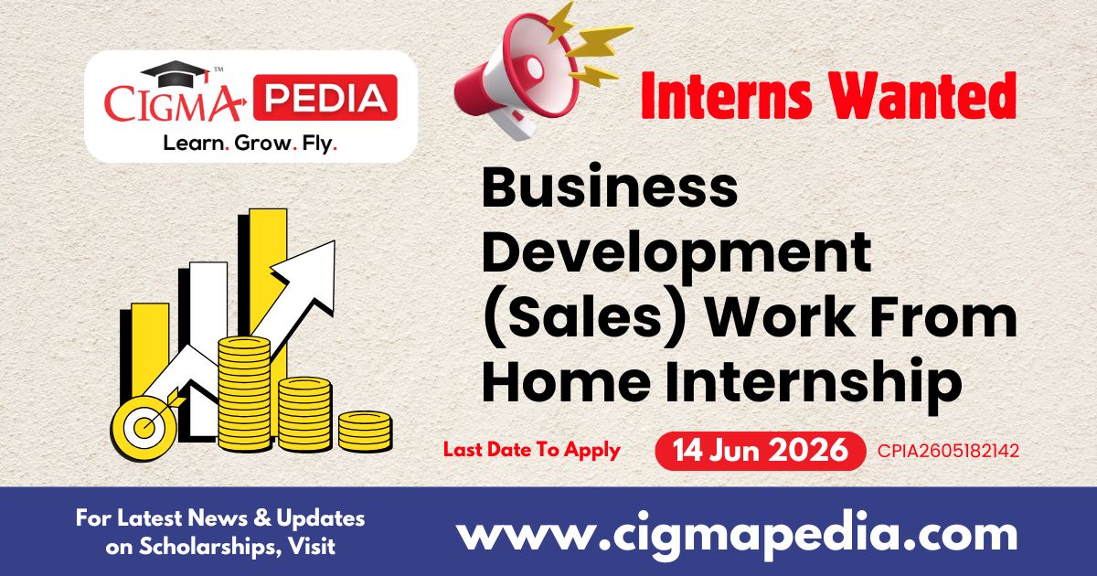 Business Development (Sales) Work From Home Internship