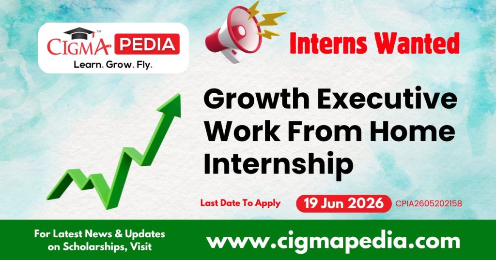 Growth Executive Work from Home Internships