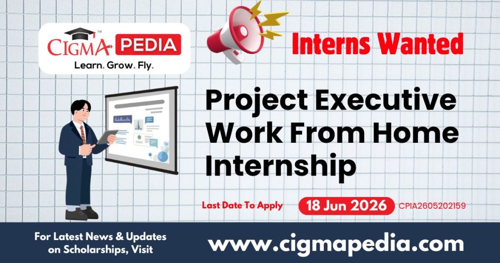 Project Executive Work From Home Internship