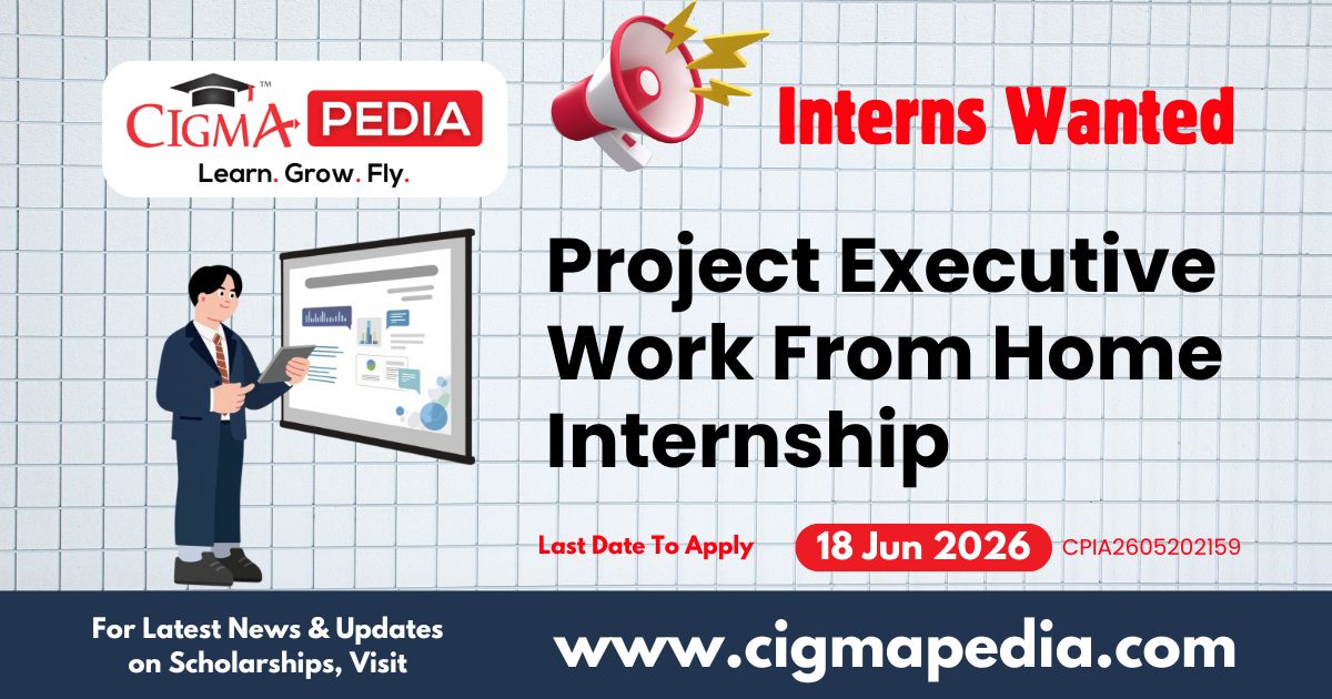 Project Executive Work From Home Internship